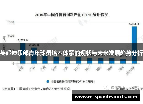 英超俱乐部青年球员培养体系的现状与未来发展趋势分析