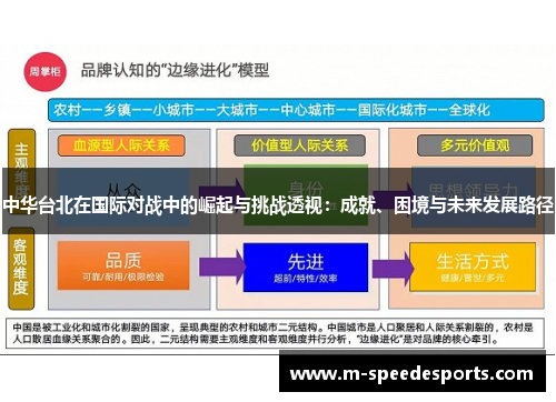 中华台北在国际对战中的崛起与挑战透视：成就、困境与未来发展路径