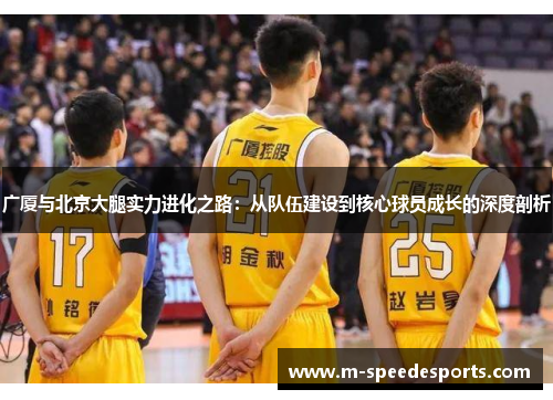 广厦与北京大腿实力进化之路：从队伍建设到核心球员成长的深度剖析