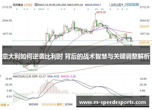 意大利如何逆袭比利时 背后的战术智慧与关键调整解析