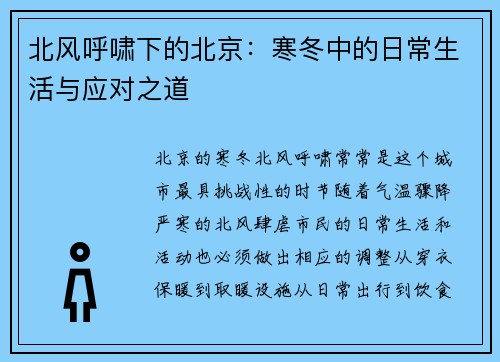 北风呼啸下的北京：寒冬中的日常生活与应对之道