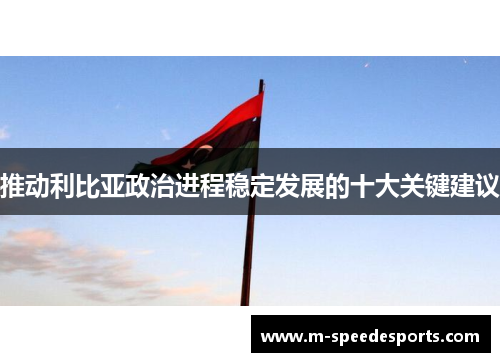 推动利比亚政治进程稳定发展的十大关键建议