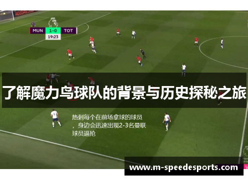 了解魔力鸟球队的背景与历史探秘之旅