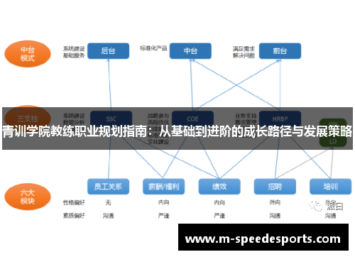 青训学院教练职业规划指南：从基础到进阶的成长路径与发展策略