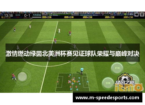 激情燃动绿茵北美洲杯赛见证球队荣耀与巅峰对决