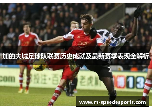加的夫城足球队联赛历史成就及最新赛季表现全解析